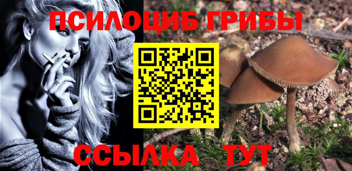 Кыштым  где купить наркоту  Вход с VPN  Псилоцибиновые грибы прущие грибы 